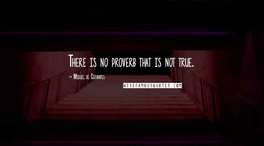 Miguel De Cervantes Quotes: There is no proverb that is not true.