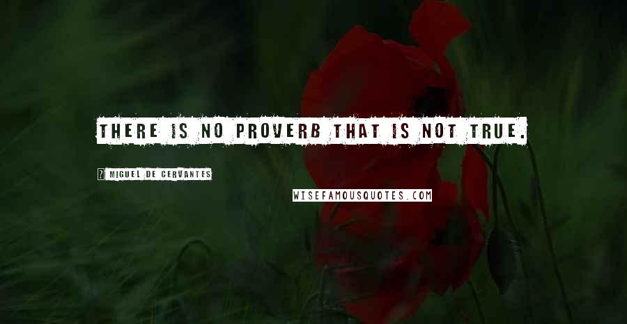 Miguel De Cervantes Quotes: There is no proverb that is not true.