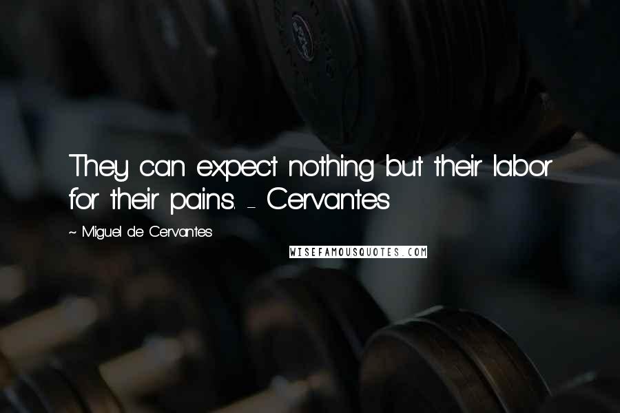 Miguel De Cervantes Quotes: They can expect nothing but their labor for their pains. - Cervantes