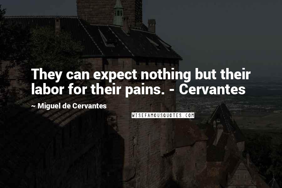 Miguel De Cervantes Quotes: They can expect nothing but their labor for their pains. - Cervantes