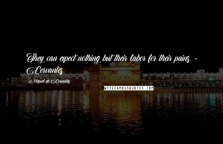 Miguel De Cervantes Quotes: They can expect nothing but their labor for their pains. - Cervantes