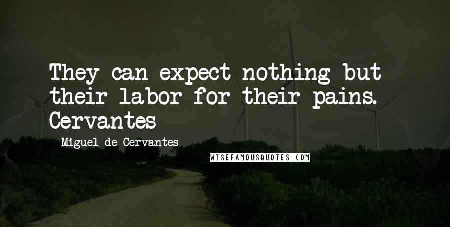Miguel De Cervantes Quotes: They can expect nothing but their labor for their pains. - Cervantes