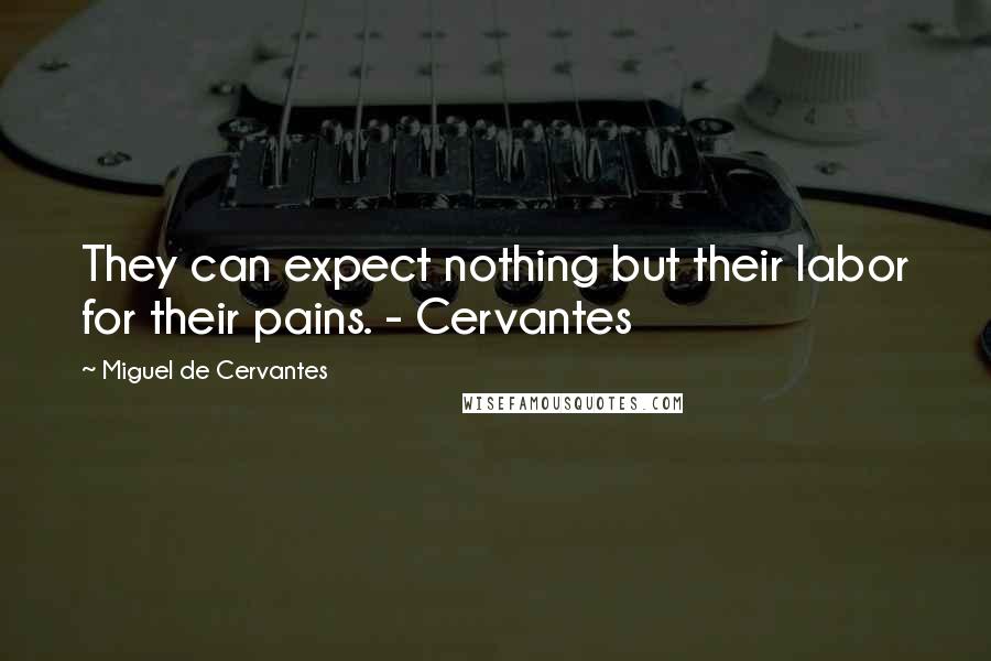 Miguel De Cervantes Quotes: They can expect nothing but their labor for their pains. - Cervantes