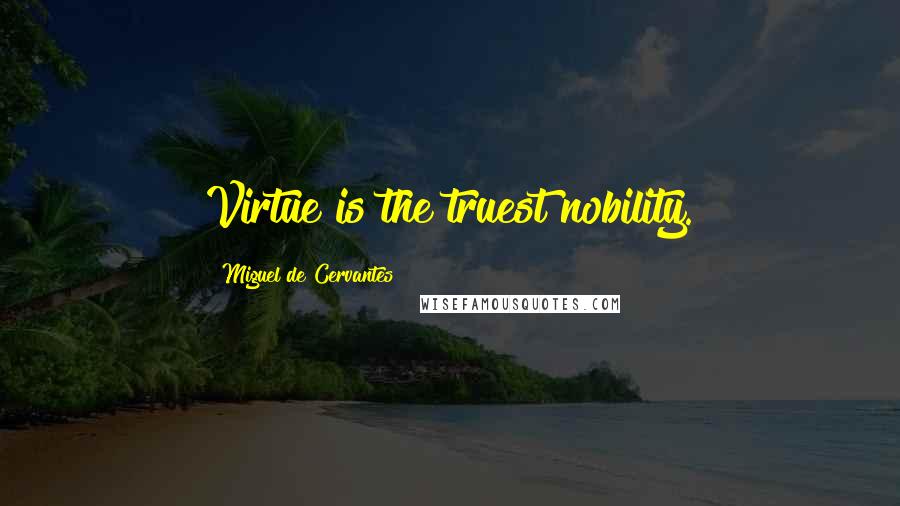 Miguel De Cervantes Quotes: Virtue is the truest nobility.