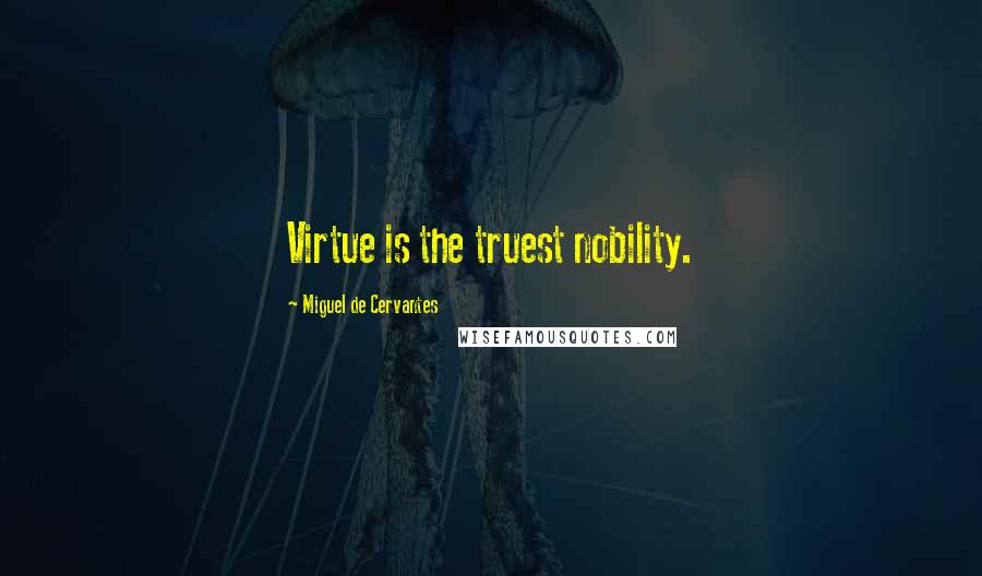 Miguel De Cervantes Quotes: Virtue is the truest nobility.
