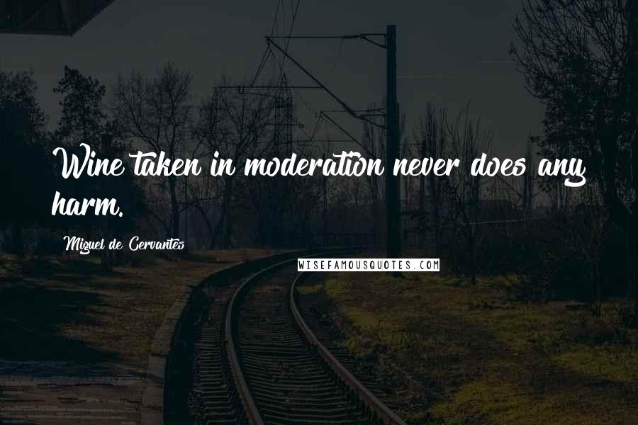 Miguel De Cervantes Quotes: Wine taken in moderation never does any harm.