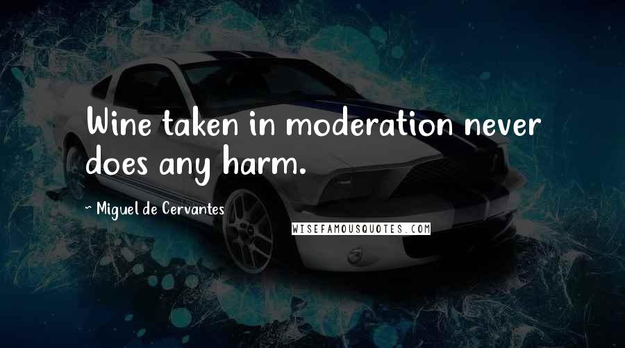 Miguel De Cervantes Quotes: Wine taken in moderation never does any harm.