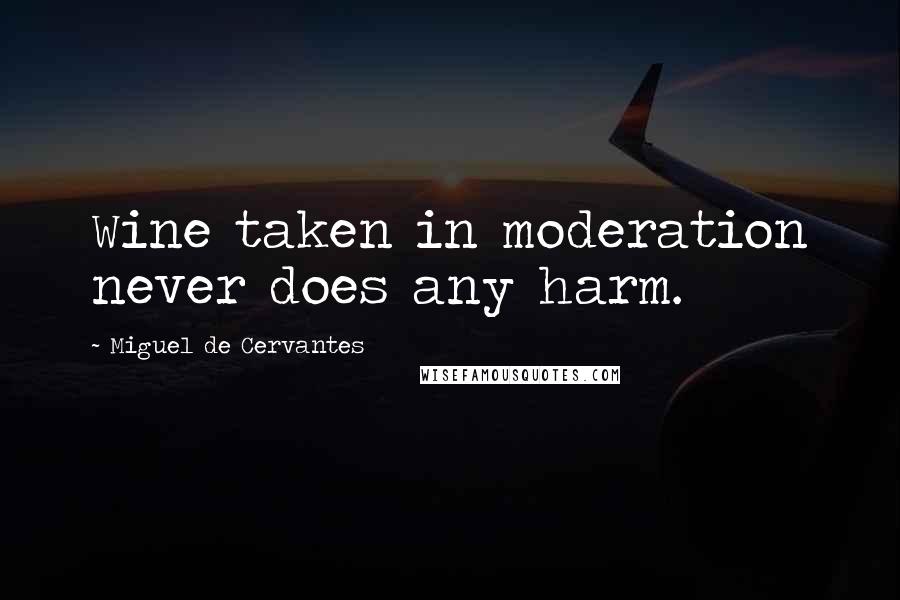 Miguel De Cervantes Quotes: Wine taken in moderation never does any harm.