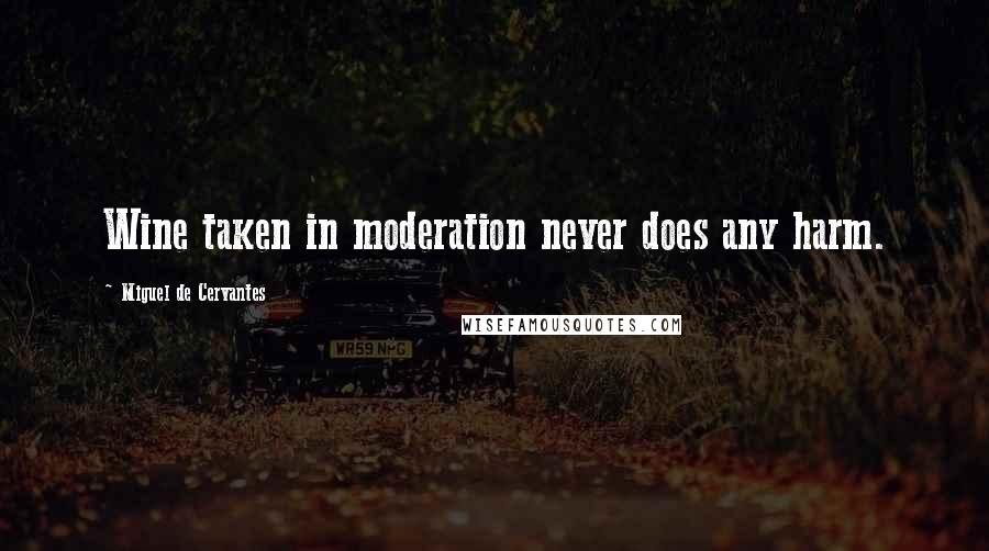 Miguel De Cervantes Quotes: Wine taken in moderation never does any harm.