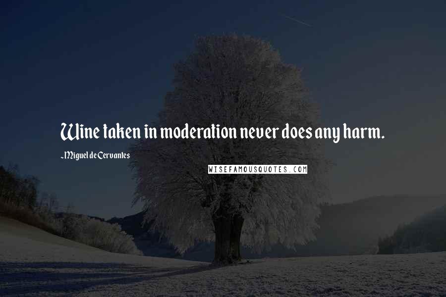 Miguel De Cervantes Quotes: Wine taken in moderation never does any harm.