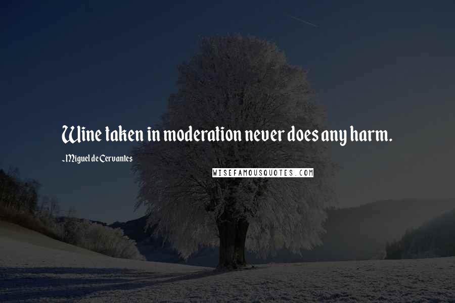 Miguel De Cervantes Quotes: Wine taken in moderation never does any harm.