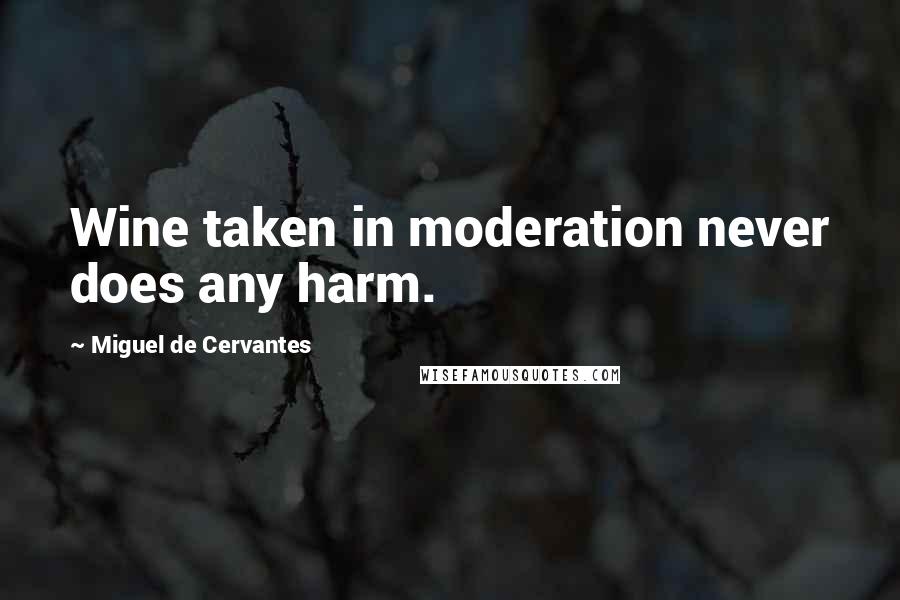 Miguel De Cervantes Quotes: Wine taken in moderation never does any harm.