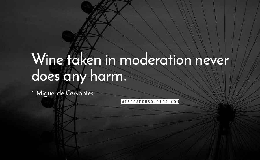 Miguel De Cervantes Quotes: Wine taken in moderation never does any harm.