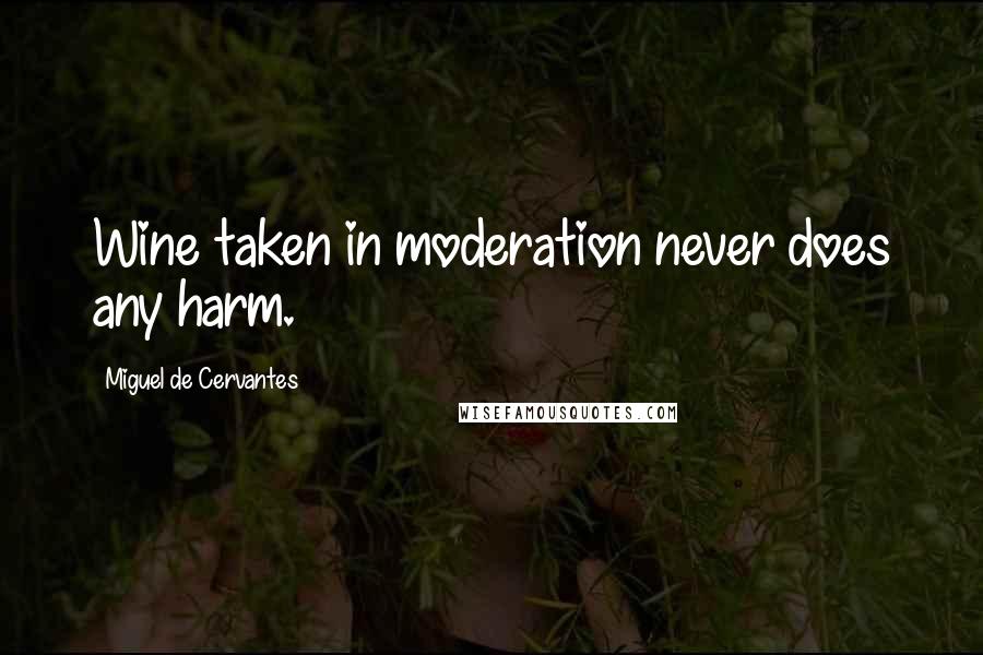 Miguel De Cervantes Quotes: Wine taken in moderation never does any harm.