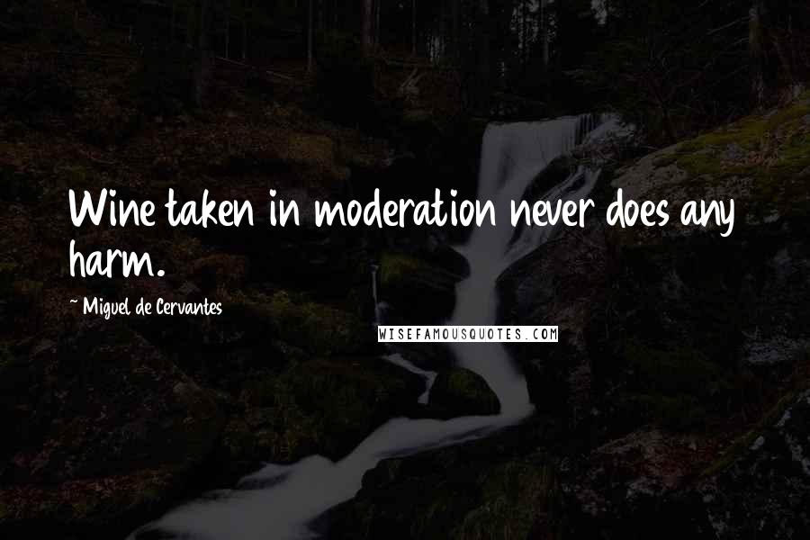 Miguel De Cervantes Quotes: Wine taken in moderation never does any harm.