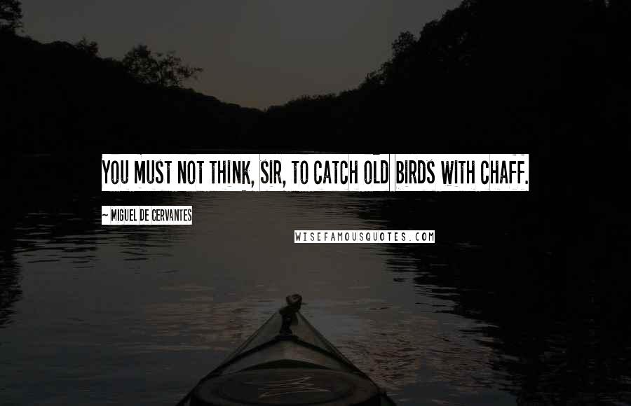 Miguel De Cervantes Quotes: You must not think, sir, to catch old birds with chaff.