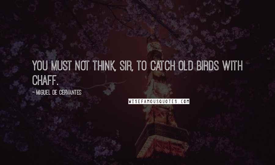 Miguel De Cervantes Quotes: You must not think, sir, to catch old birds with chaff.