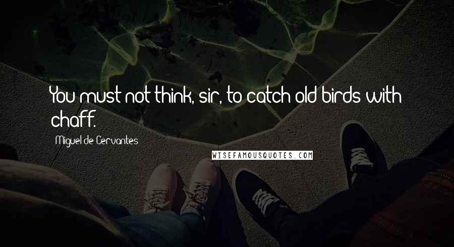 Miguel De Cervantes Quotes: You must not think, sir, to catch old birds with chaff.