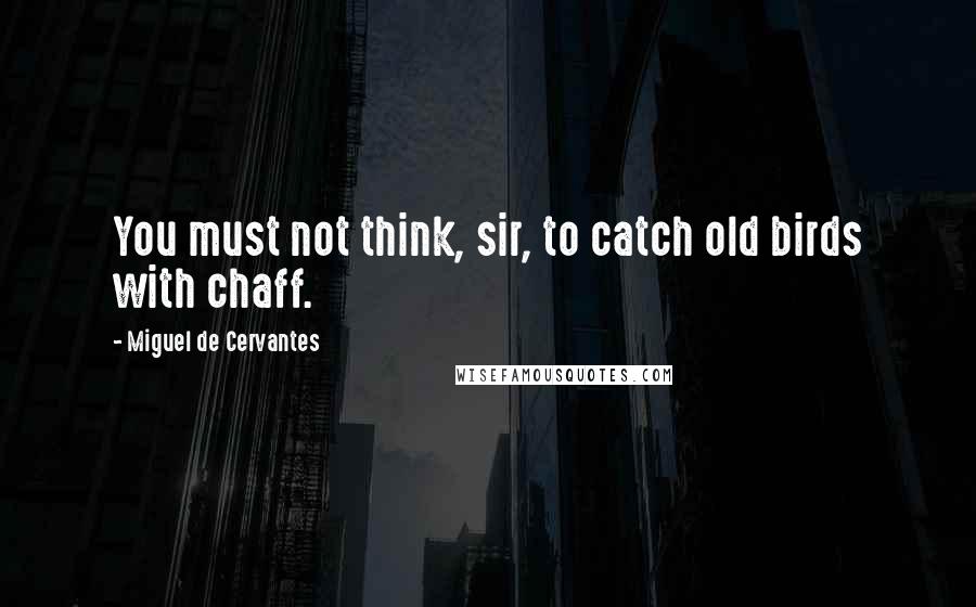 Miguel De Cervantes Quotes: You must not think, sir, to catch old birds with chaff.