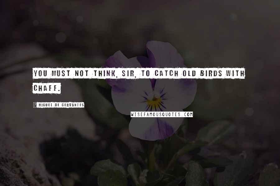 Miguel De Cervantes Quotes: You must not think, sir, to catch old birds with chaff.