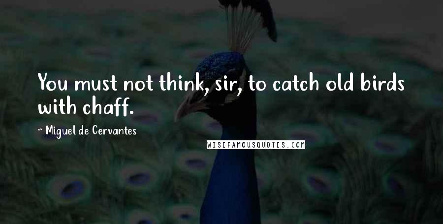 Miguel De Cervantes Quotes: You must not think, sir, to catch old birds with chaff.