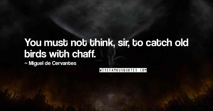 Miguel De Cervantes Quotes: You must not think, sir, to catch old birds with chaff.