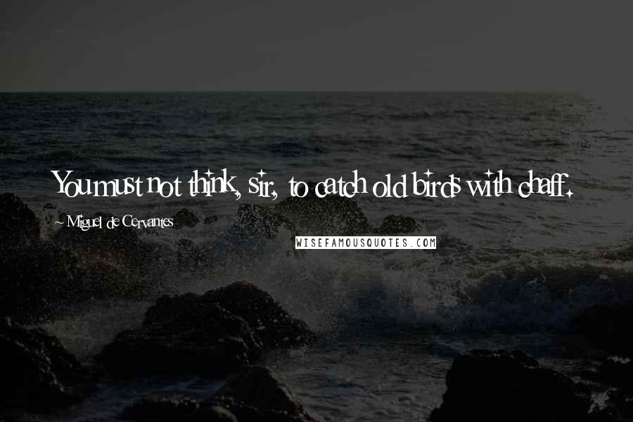 Miguel De Cervantes Quotes: You must not think, sir, to catch old birds with chaff.