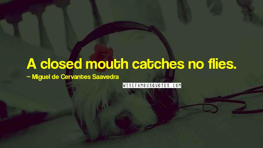 Miguel De Cervantes Saavedra Quotes: A closed mouth catches no flies.