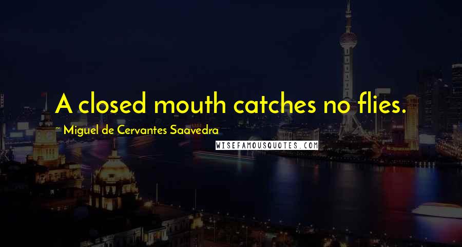 Miguel De Cervantes Saavedra Quotes: A closed mouth catches no flies.