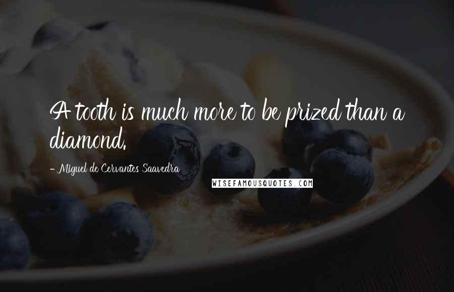 Miguel De Cervantes Saavedra Quotes: A tooth is much more to be prized than a diamond.