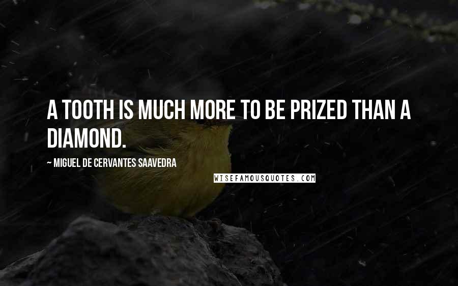 Miguel De Cervantes Saavedra Quotes: A tooth is much more to be prized than a diamond.