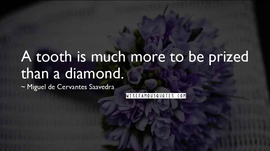 Miguel De Cervantes Saavedra Quotes: A tooth is much more to be prized than a diamond.