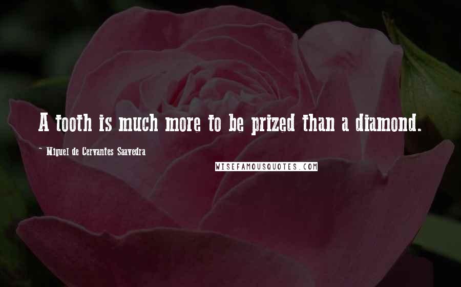 Miguel De Cervantes Saavedra Quotes: A tooth is much more to be prized than a diamond.