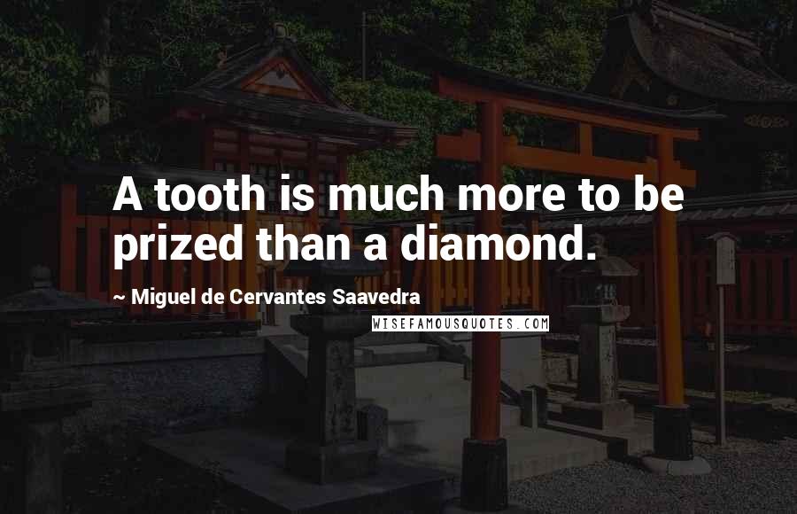 Miguel De Cervantes Saavedra Quotes: A tooth is much more to be prized than a diamond.