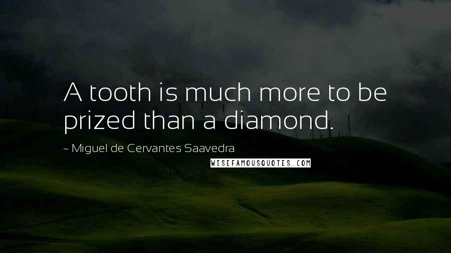 Miguel De Cervantes Saavedra Quotes: A tooth is much more to be prized than a diamond.