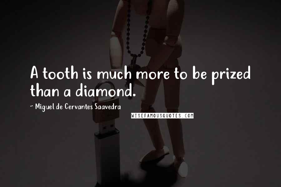 Miguel De Cervantes Saavedra Quotes: A tooth is much more to be prized than a diamond.