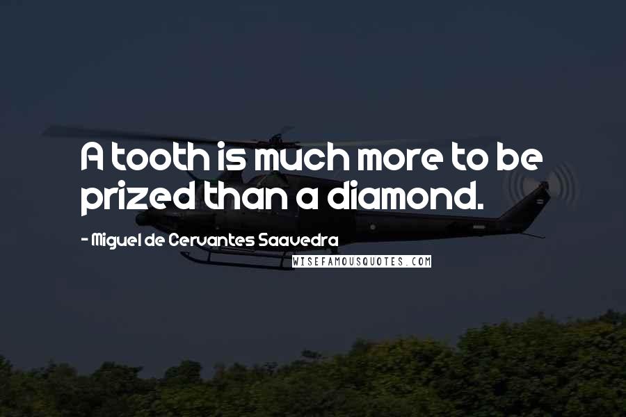 Miguel De Cervantes Saavedra Quotes: A tooth is much more to be prized than a diamond.
