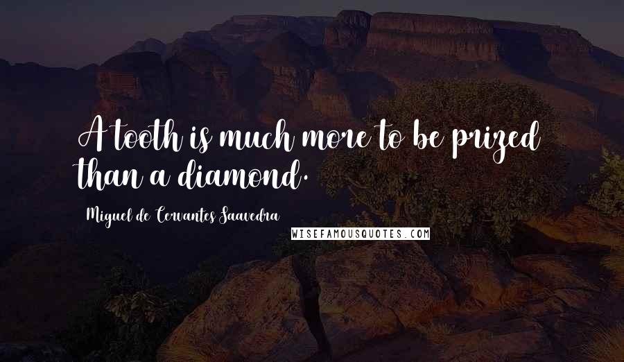 Miguel De Cervantes Saavedra Quotes: A tooth is much more to be prized than a diamond.