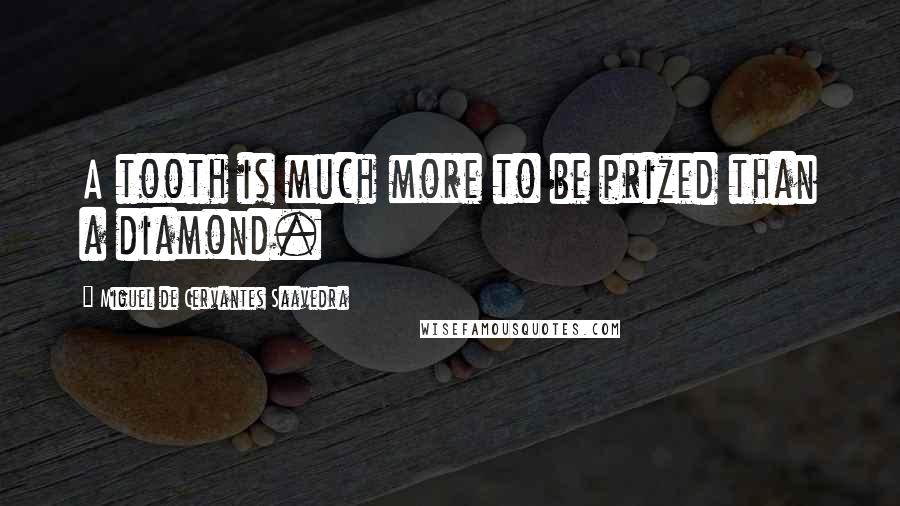 Miguel De Cervantes Saavedra Quotes: A tooth is much more to be prized than a diamond.
