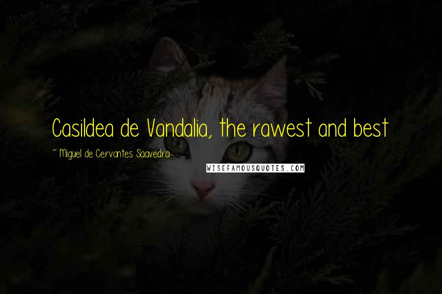 Miguel De Cervantes Saavedra Quotes: Casildea de Vandalia, the rawest and best