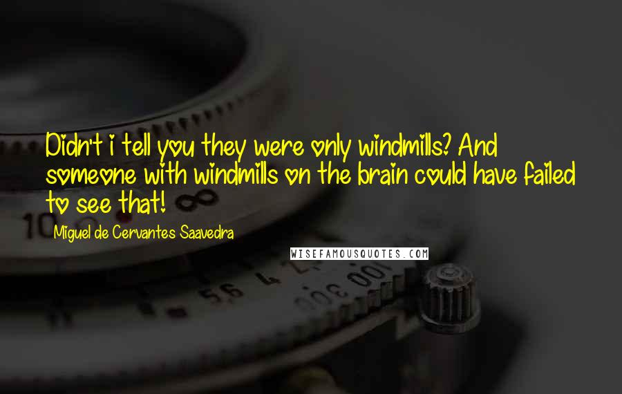Miguel De Cervantes Saavedra Quotes: Didn't i tell you they were only windmills? And someone with windmills on the brain could have failed to see that!