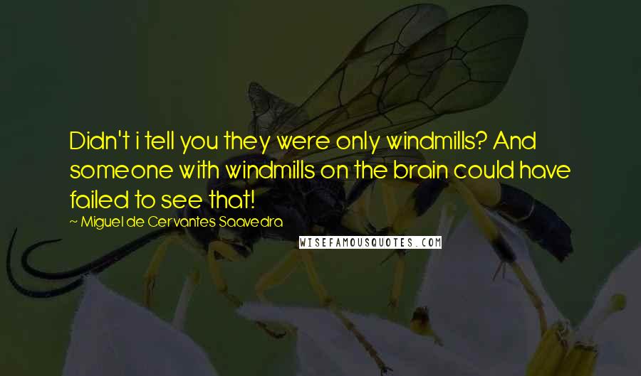 Miguel De Cervantes Saavedra Quotes: Didn't i tell you they were only windmills? And someone with windmills on the brain could have failed to see that!
