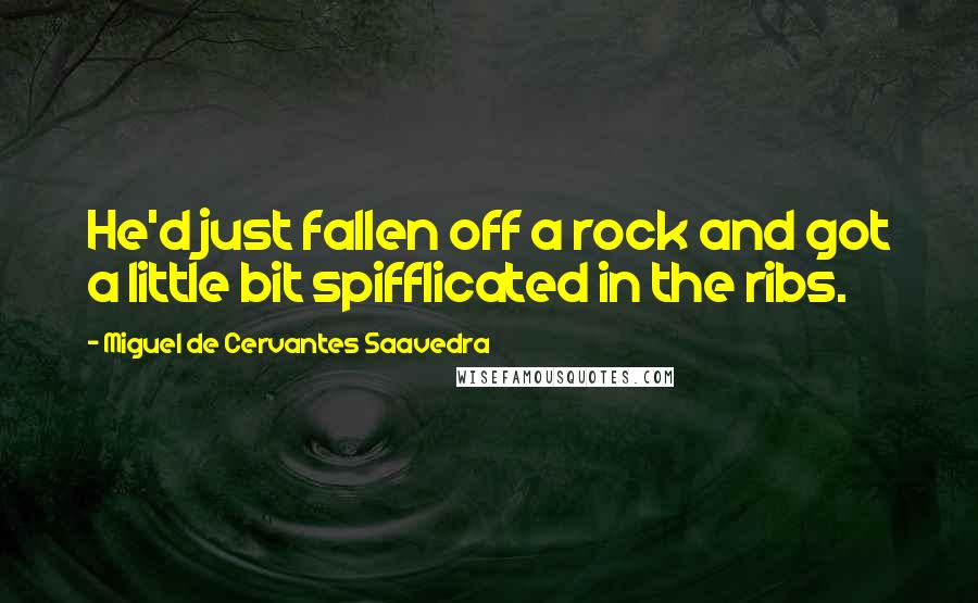 Miguel De Cervantes Saavedra Quotes: He'd just fallen off a rock and got a little bit spifflicated in the ribs.