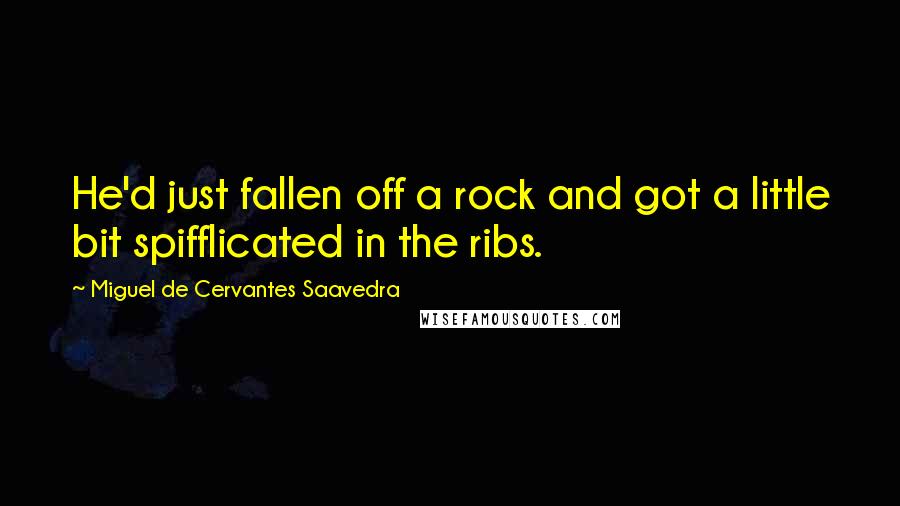 Miguel De Cervantes Saavedra Quotes: He'd just fallen off a rock and got a little bit spifflicated in the ribs.