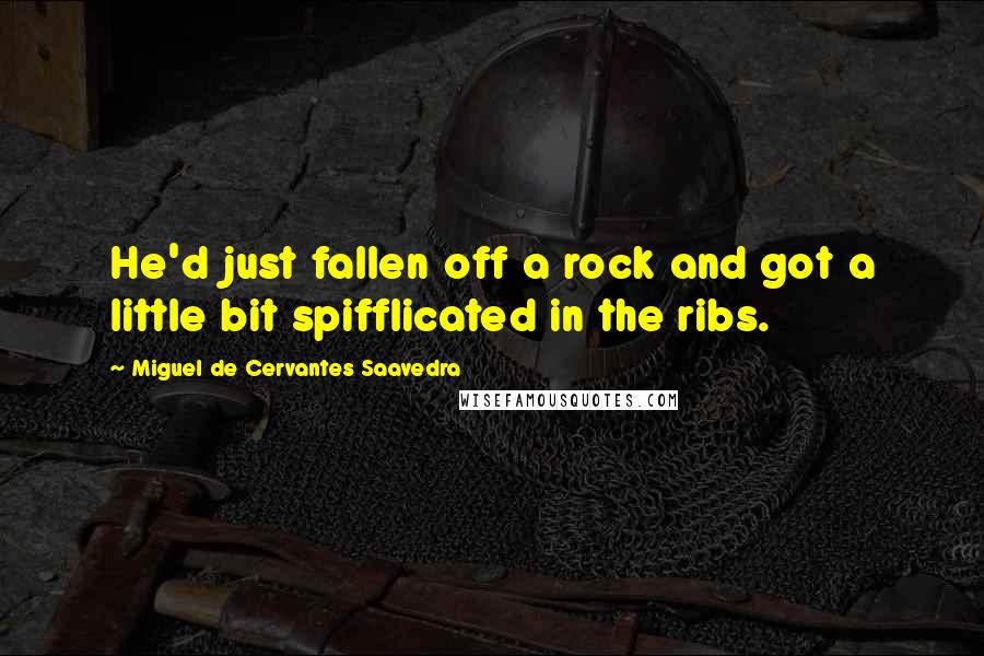 Miguel De Cervantes Saavedra Quotes: He'd just fallen off a rock and got a little bit spifflicated in the ribs.