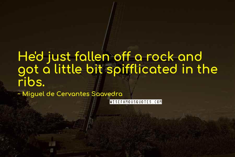 Miguel De Cervantes Saavedra Quotes: He'd just fallen off a rock and got a little bit spifflicated in the ribs.