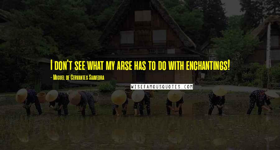 Miguel De Cervantes Saavedra Quotes: I don't see what my arse has to do with enchantings!