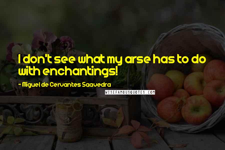 Miguel De Cervantes Saavedra Quotes: I don't see what my arse has to do with enchantings!