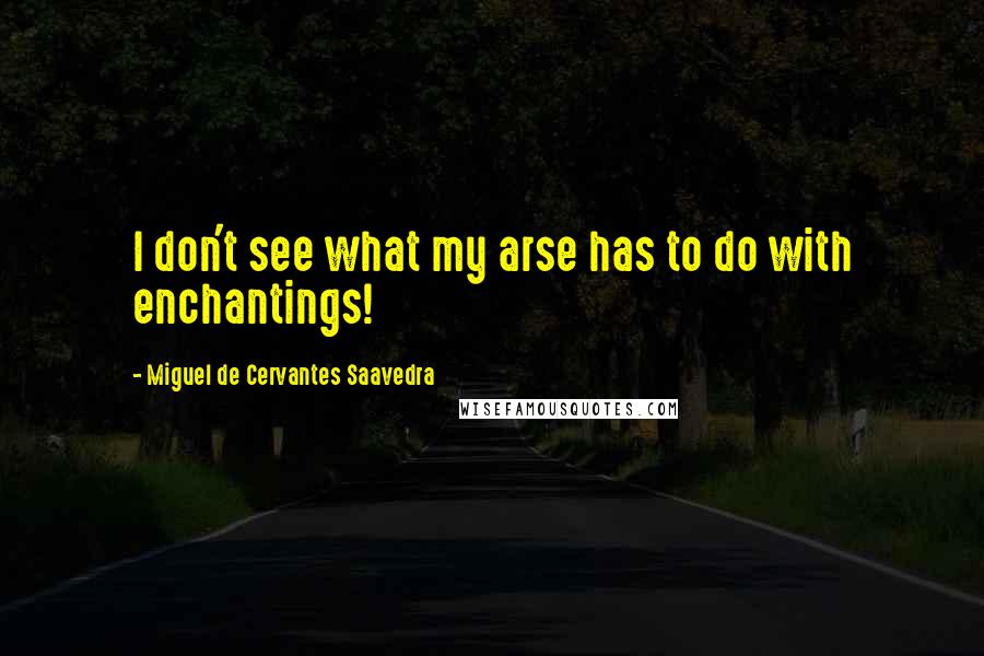 Miguel De Cervantes Saavedra Quotes: I don't see what my arse has to do with enchantings!