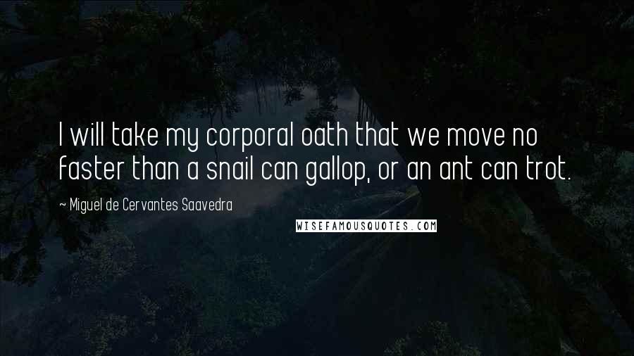 Miguel De Cervantes Saavedra Quotes: I will take my corporal oath that we move no faster than a snail can gallop, or an ant can trot.